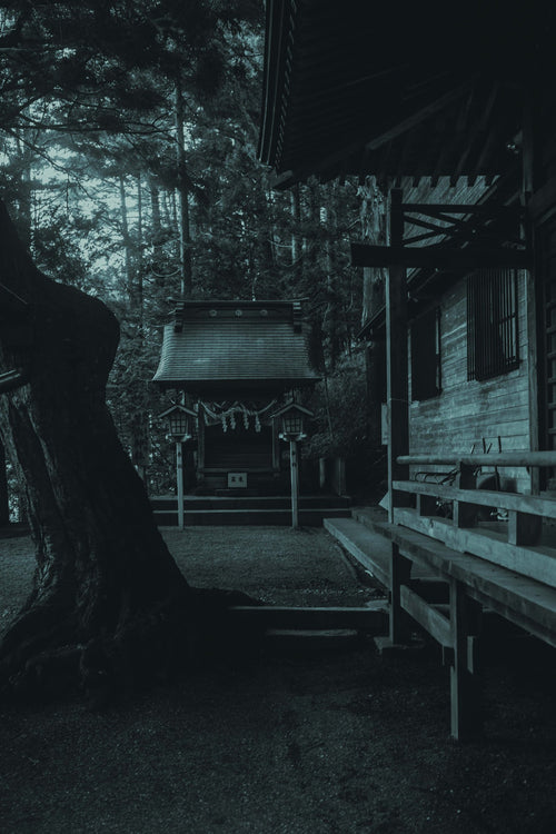B&W Lightroom Preset Pack 'MONOXIDE'