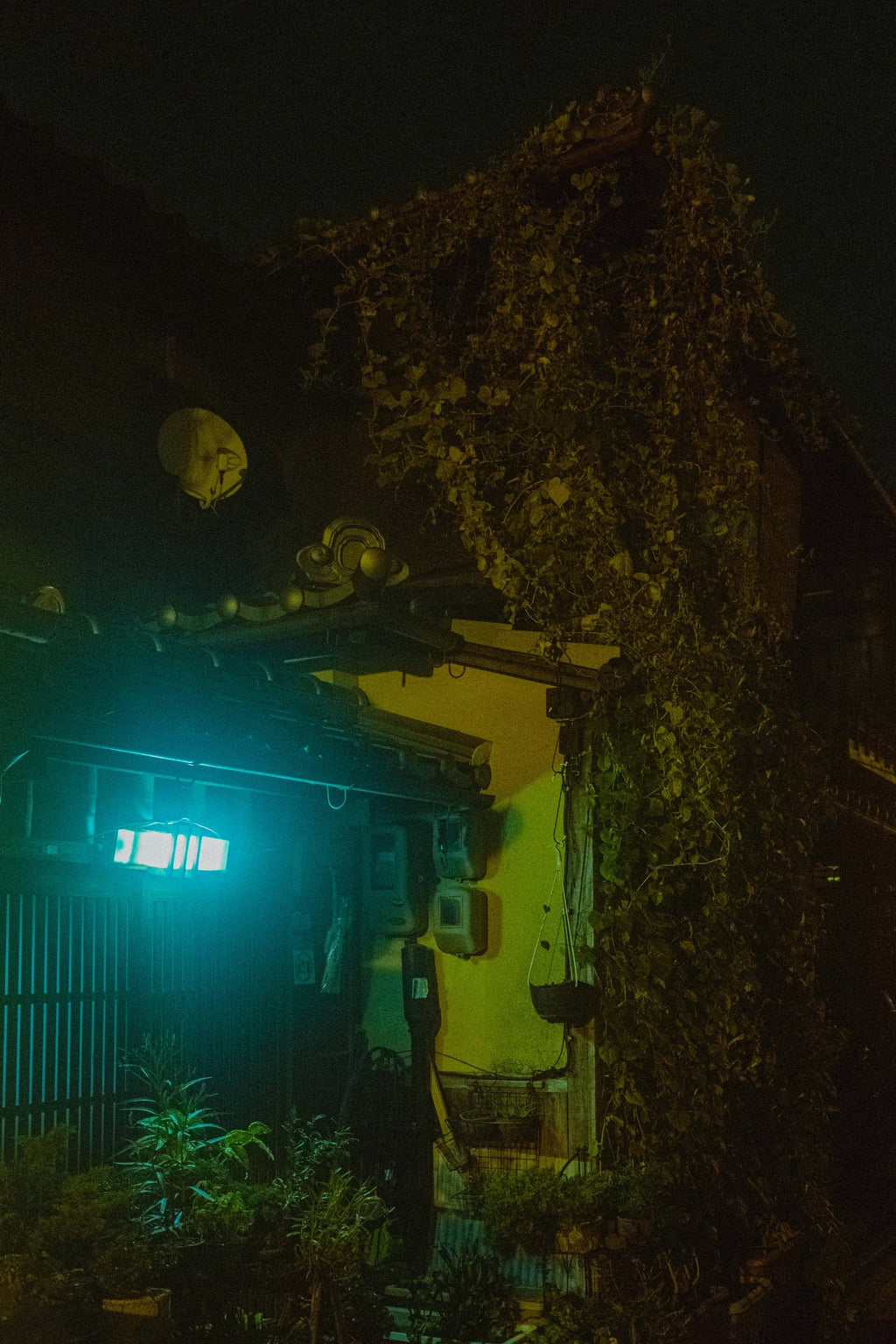 Lightroom Preset Pack 'ACID RAIN'
